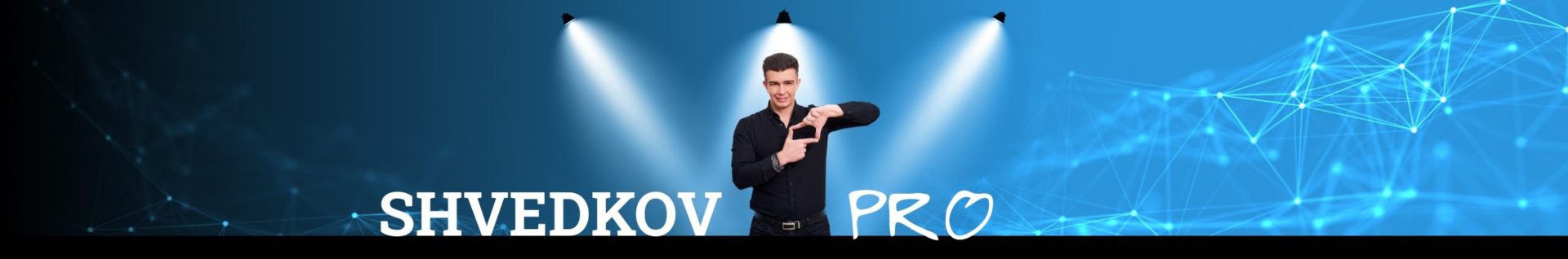ShvedkovPro